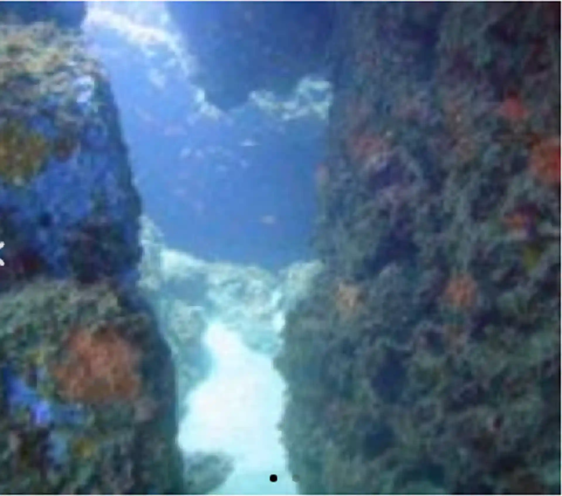 Dive site photo