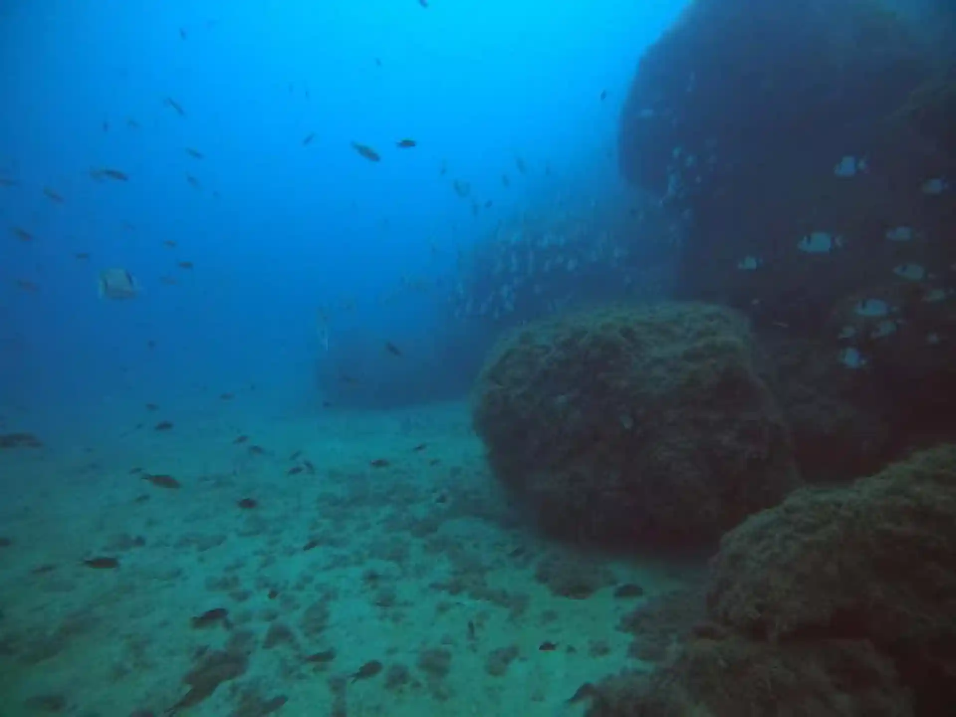 Foto des Tauchplatzes