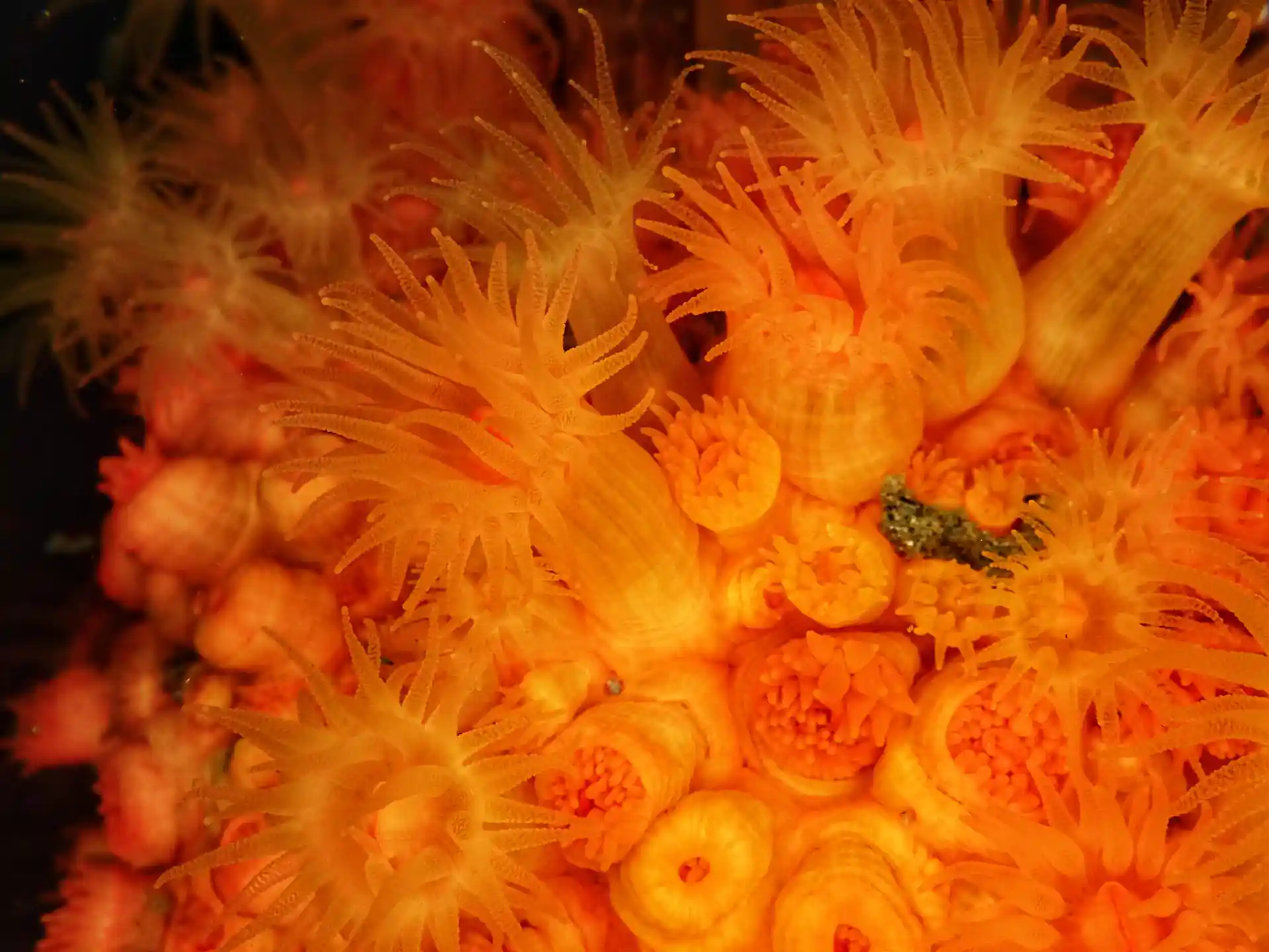 Foto van de duiklocatie