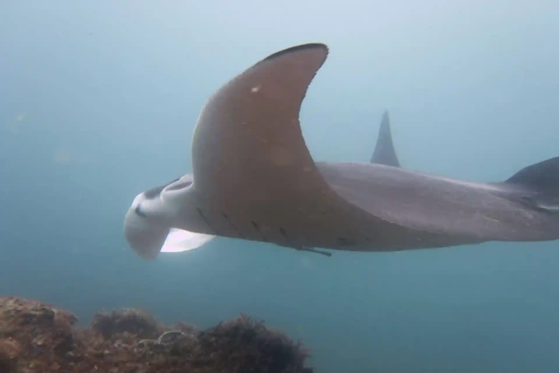 Photo du site de plongée