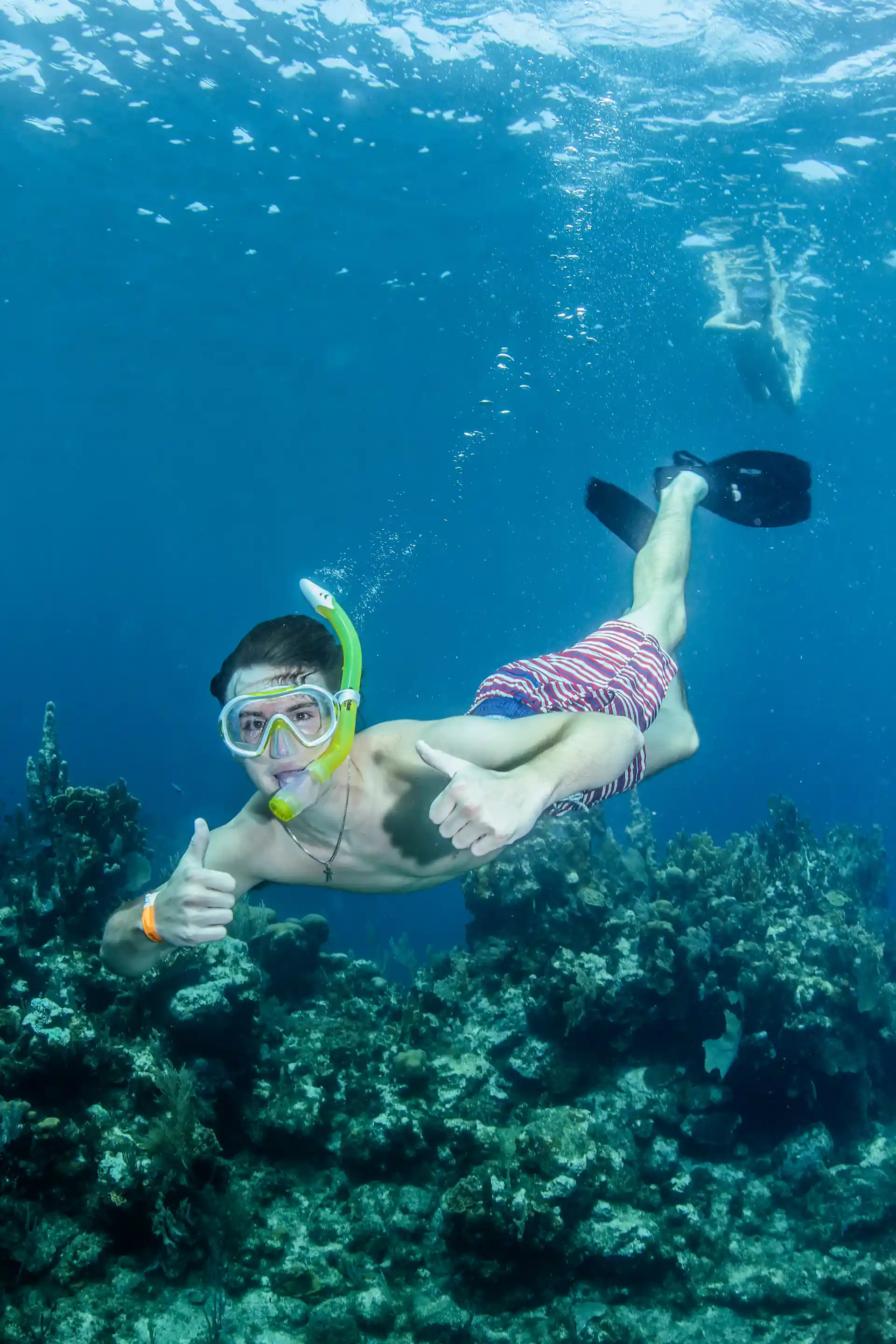 Photo de l'activité