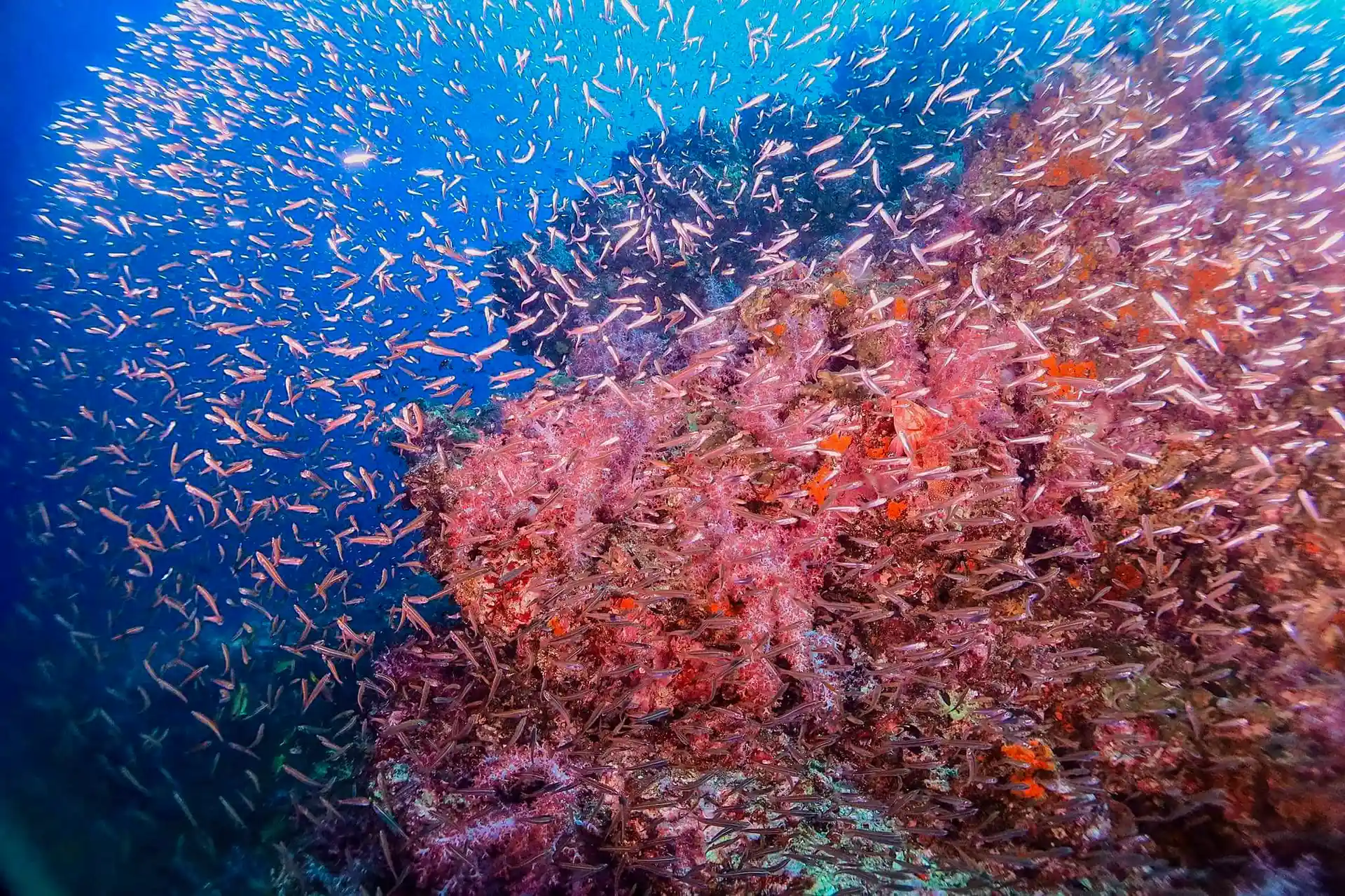 Foto des Tauchplatzes