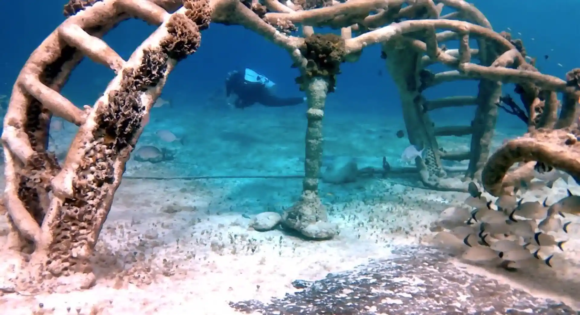 Dive site photo