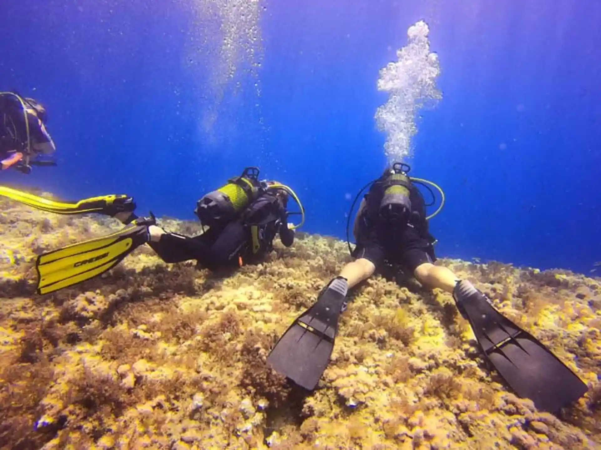 Foto des Tauchplatzes