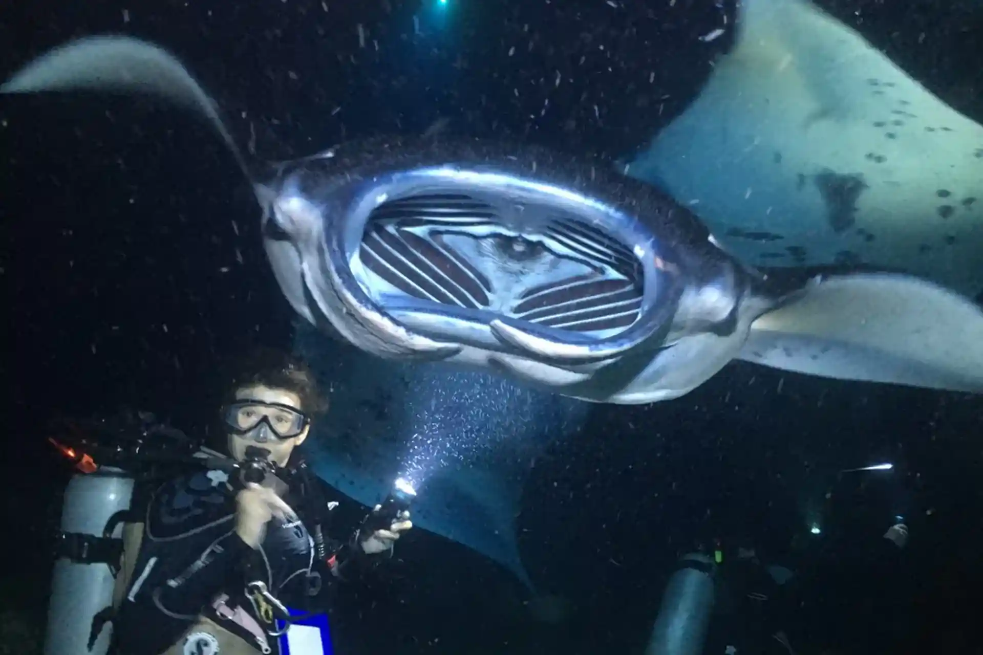 다이빙 포인트 사진