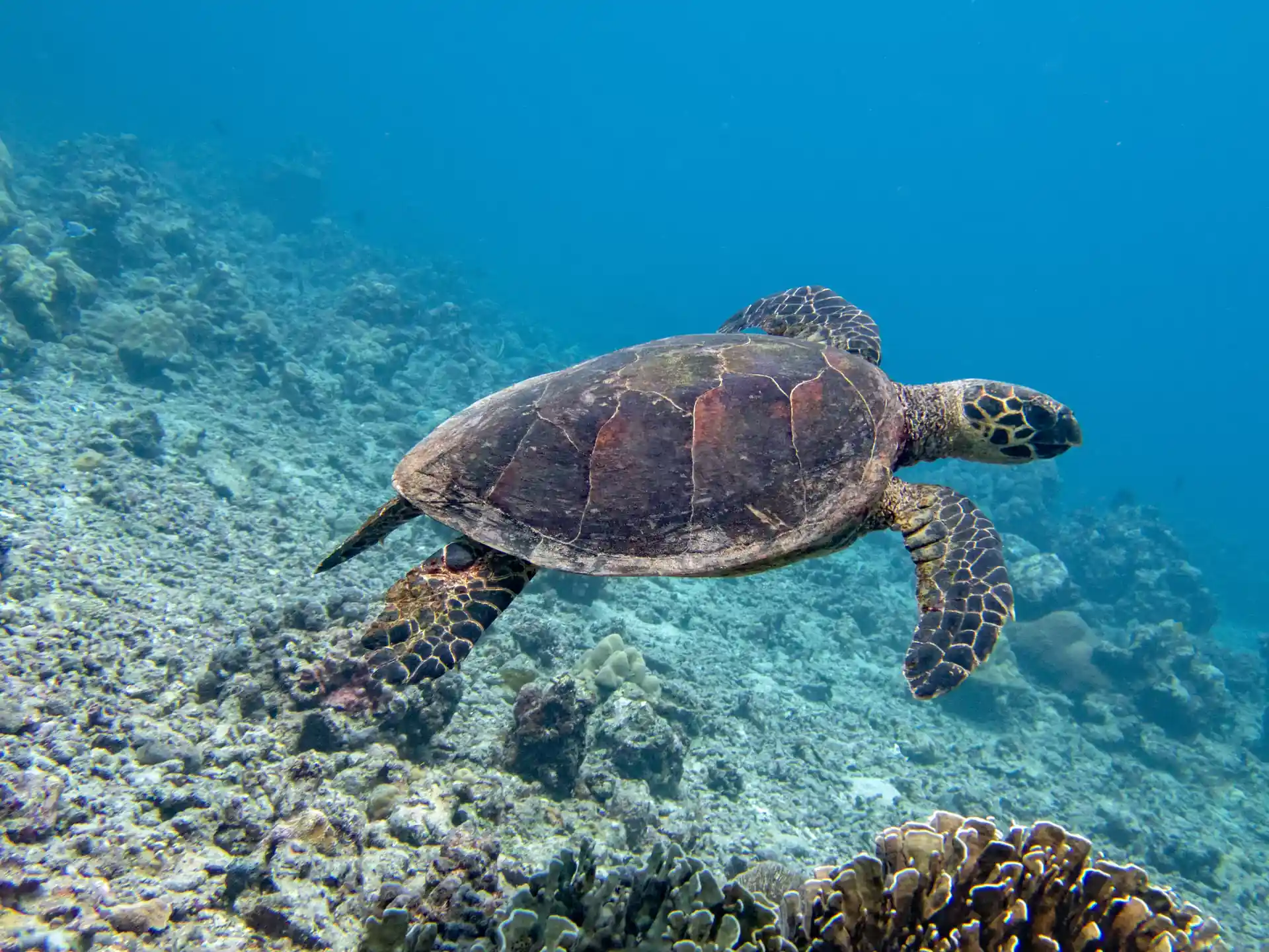 Photo de l'activité