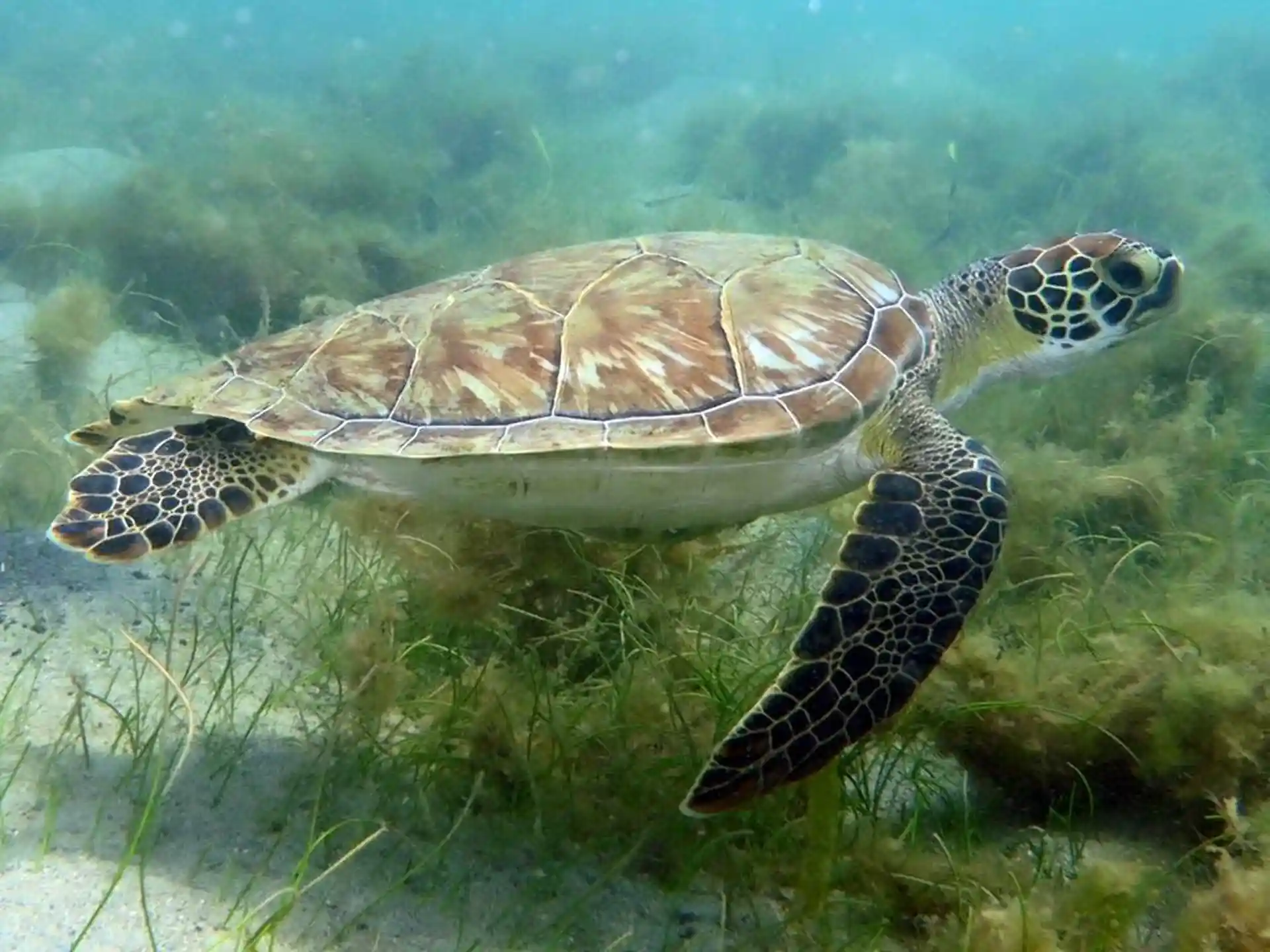 Foto de la actividad