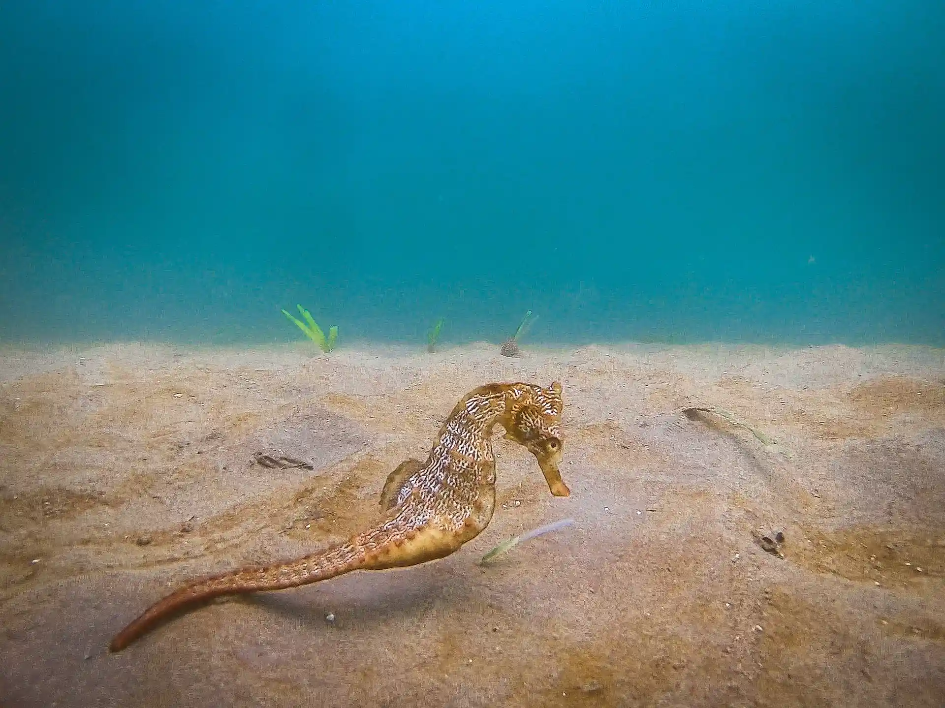 Dive site photo
