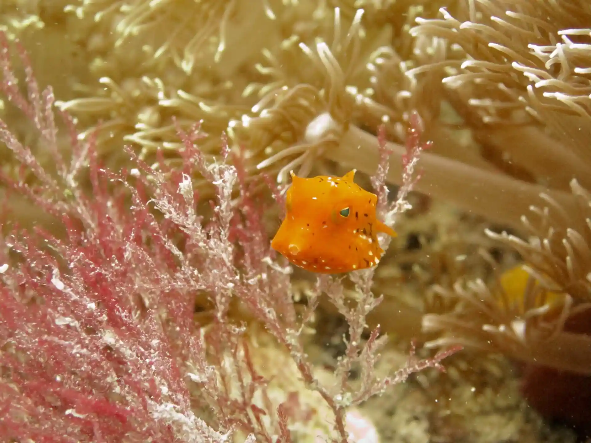Dive site photo