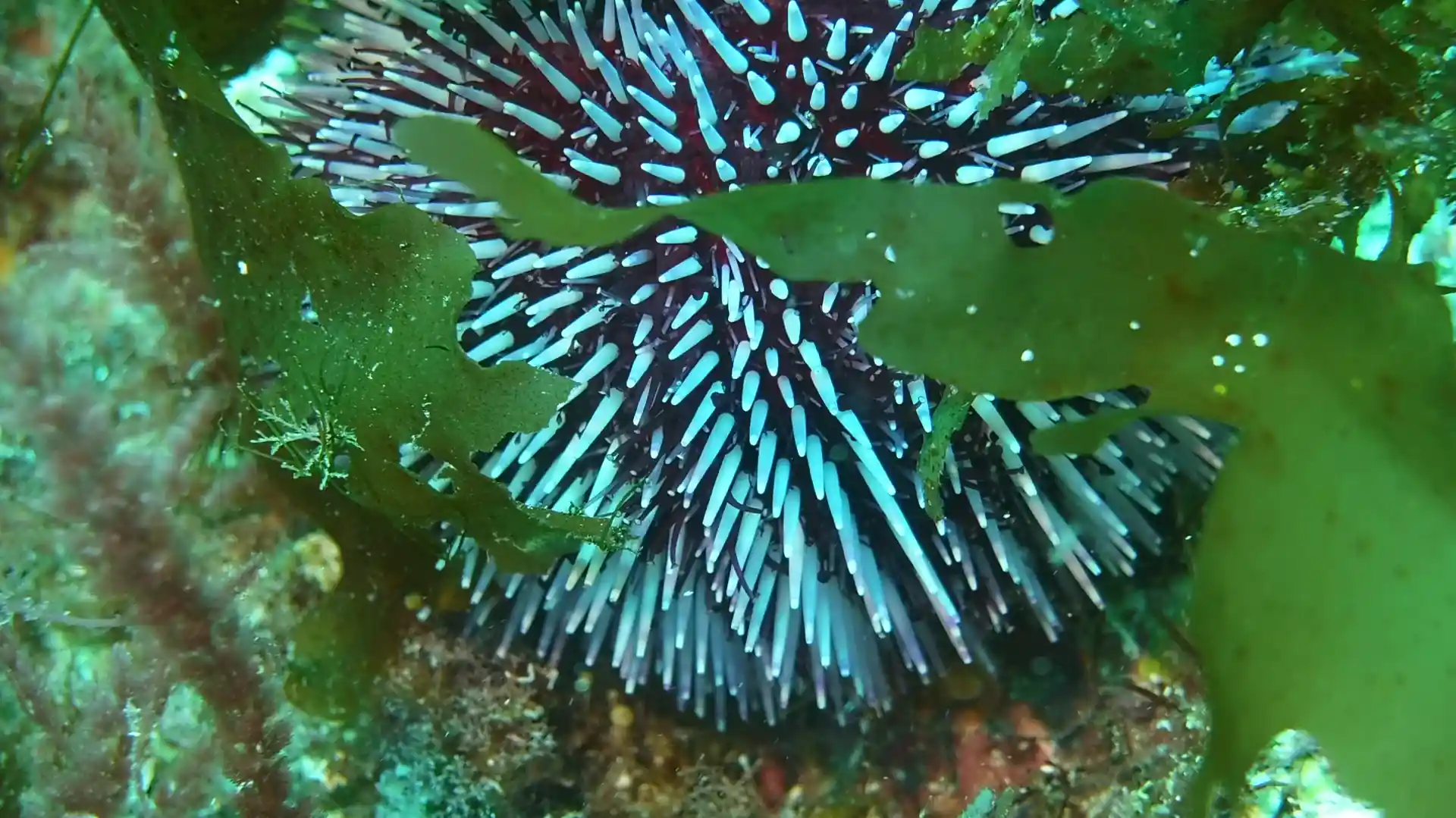 Dive shop photo