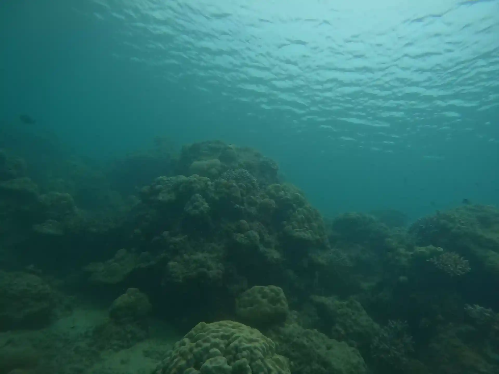 Dive site photo