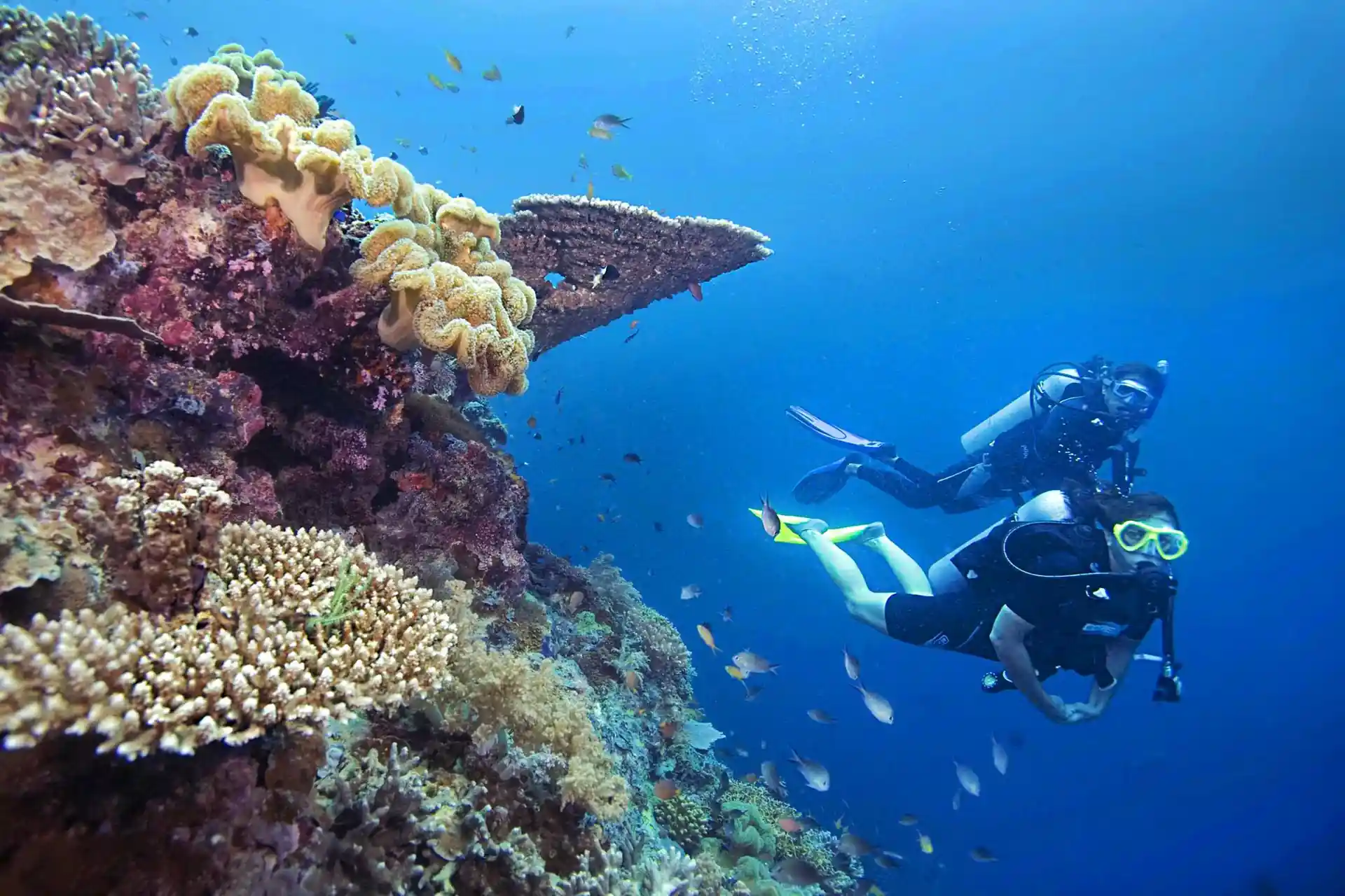 Dive site photo