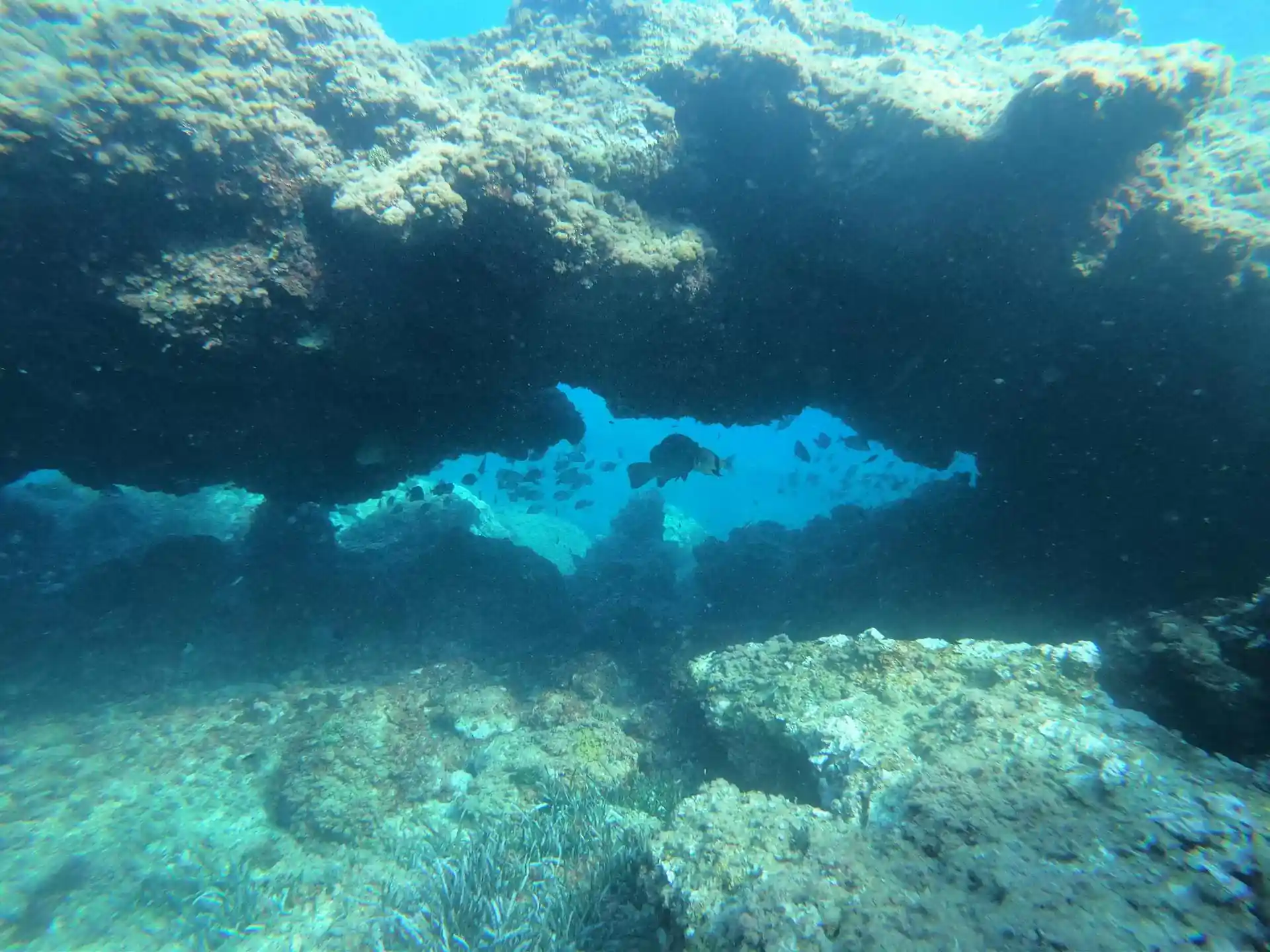 다이빙 포인트 사진