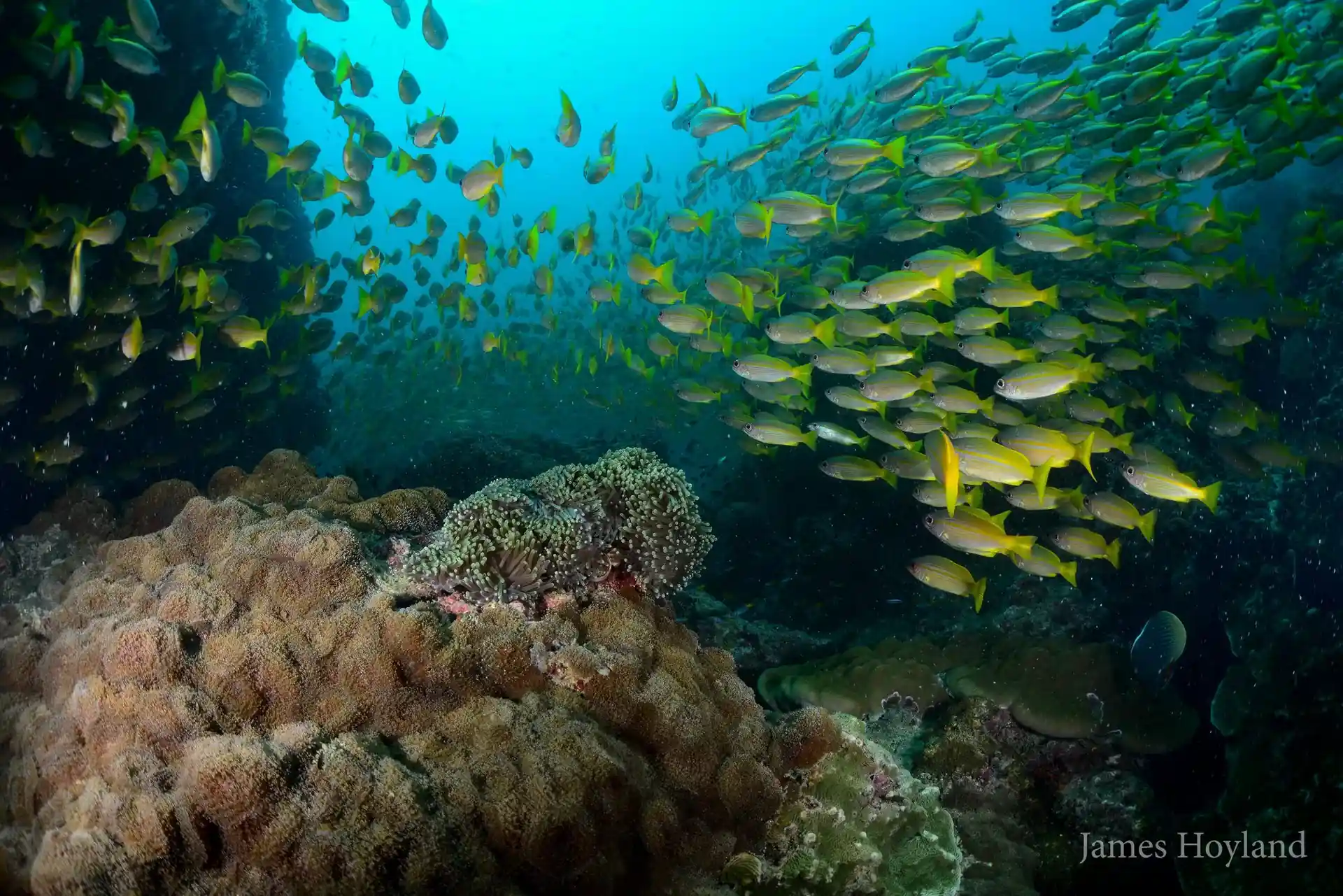 다이빙 포인트 사진