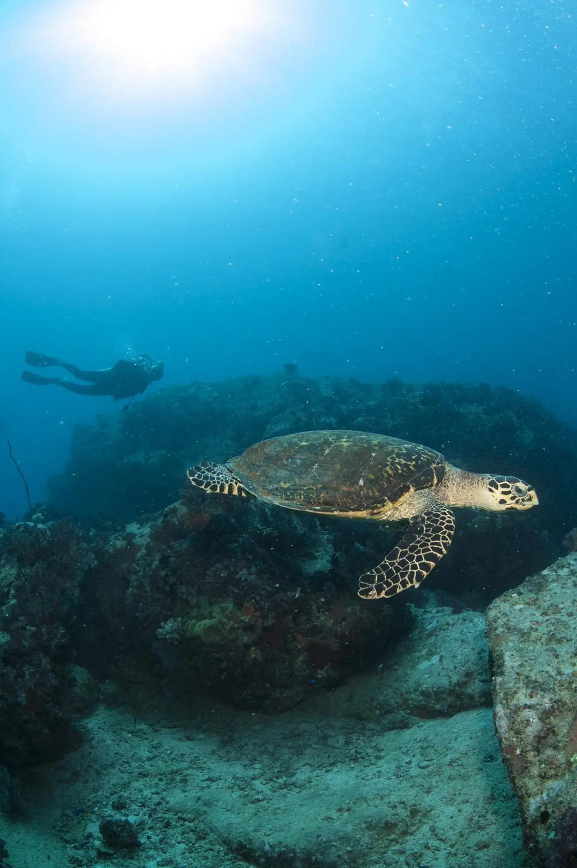 Dive site photo