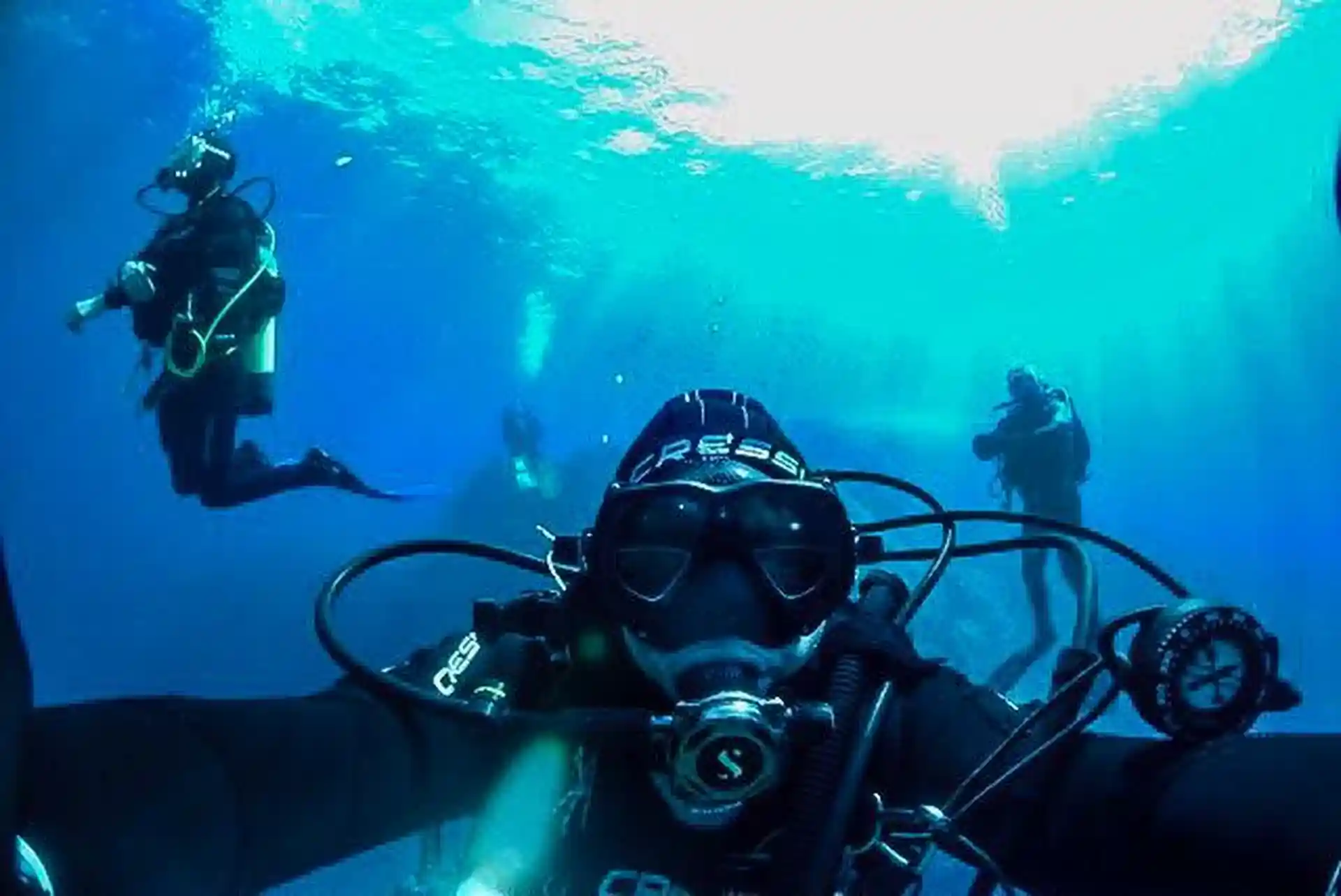 Foto de la actividad