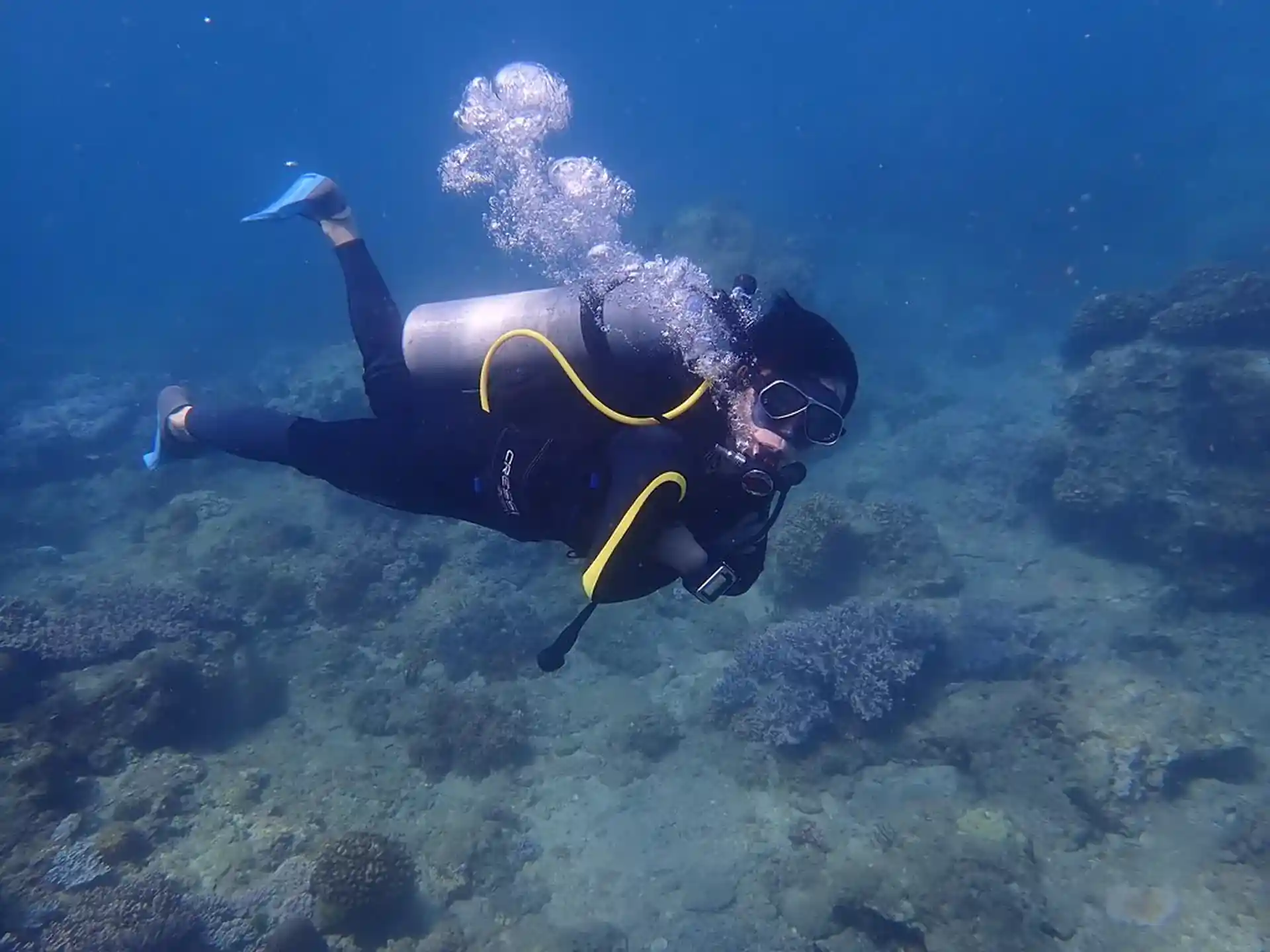Dive site photo