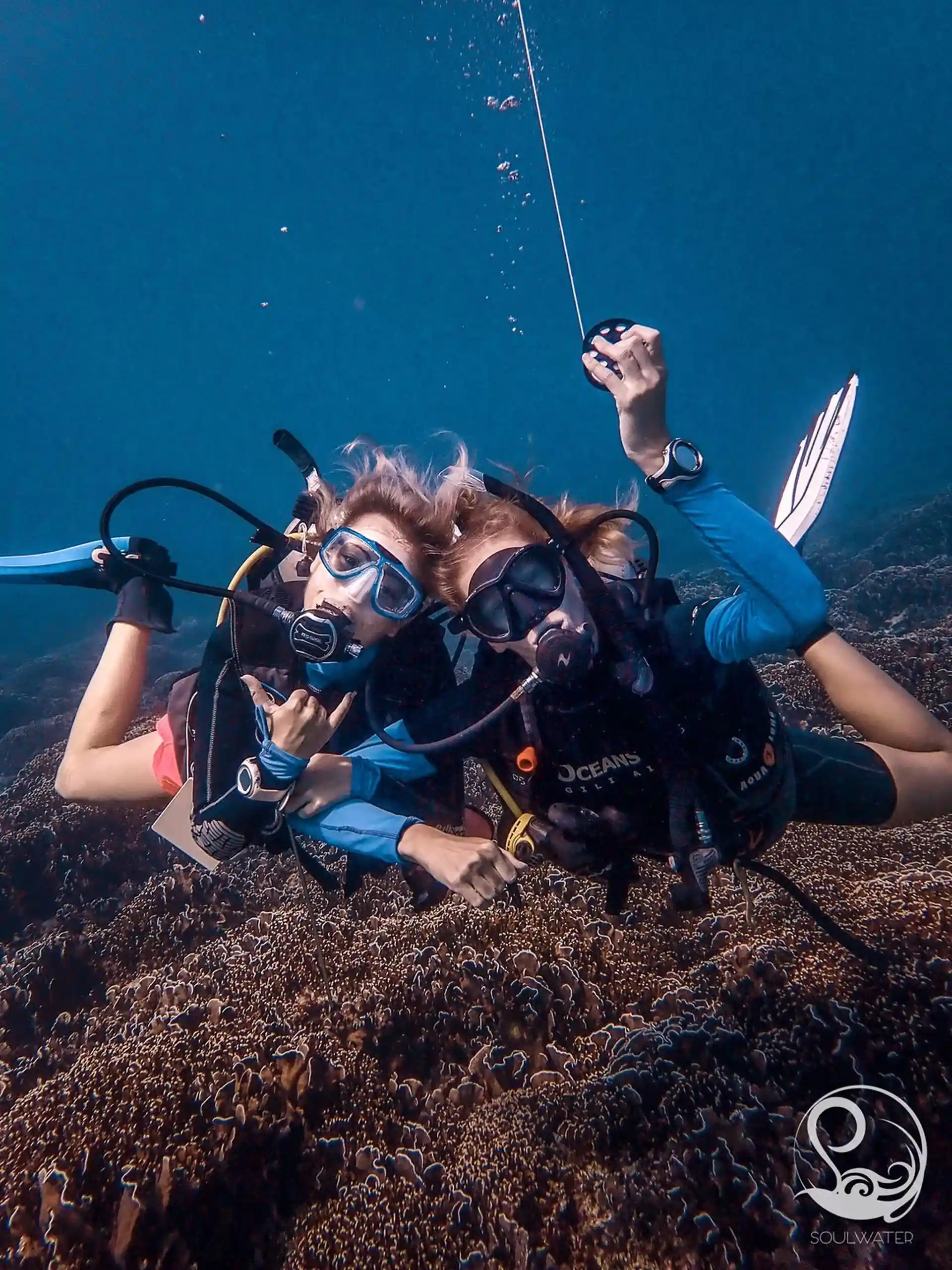 다이빙 포인트 사진