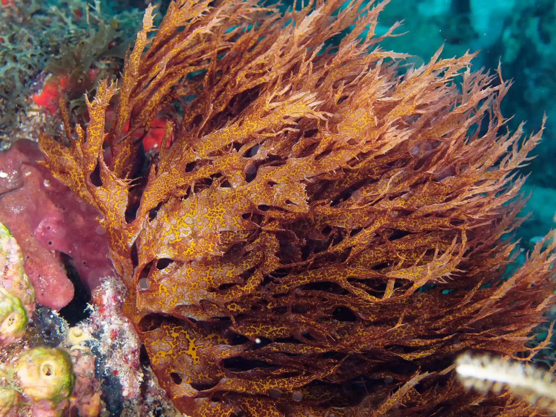 다이빙 포인트 사진