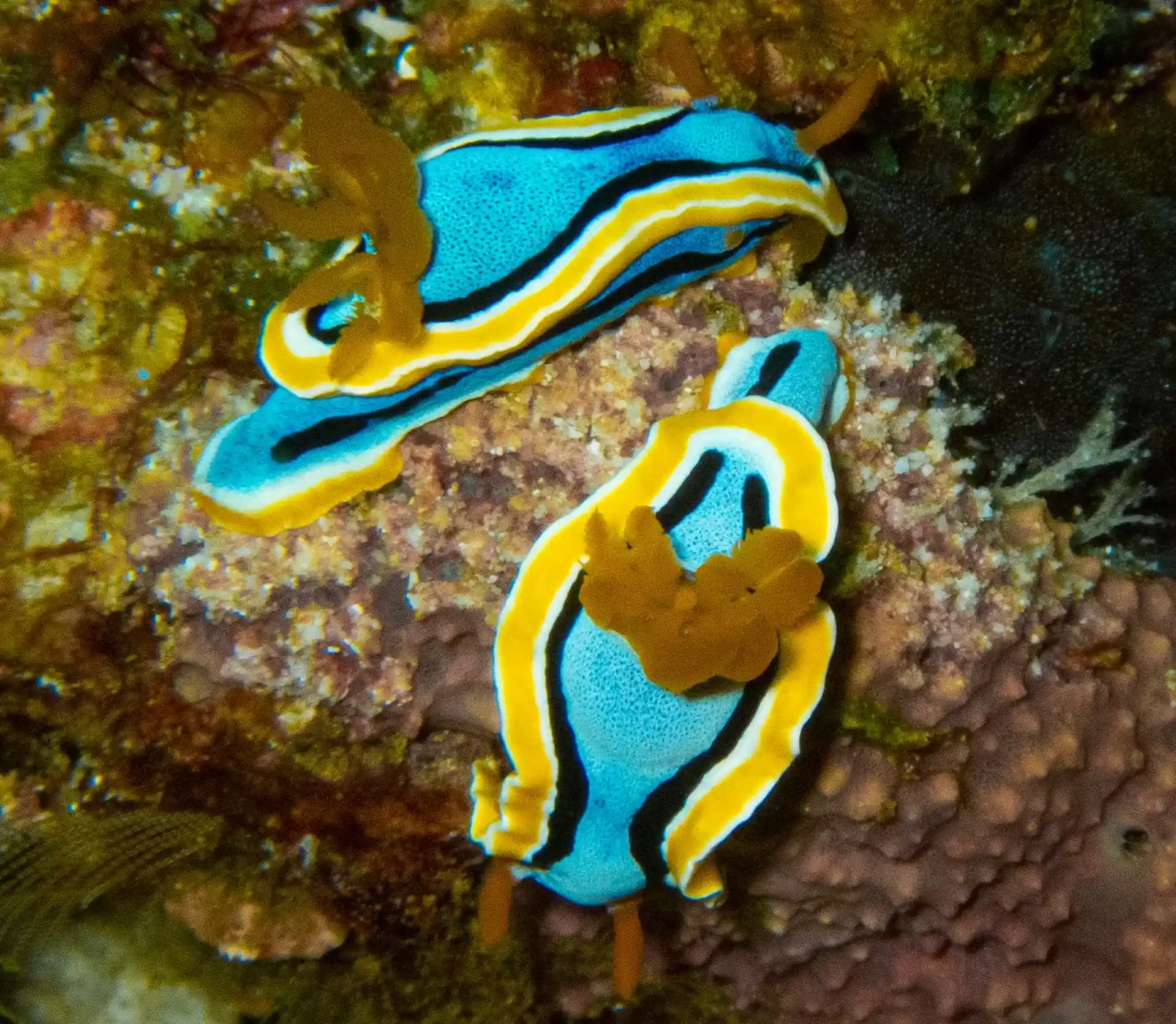 Dive site photo
