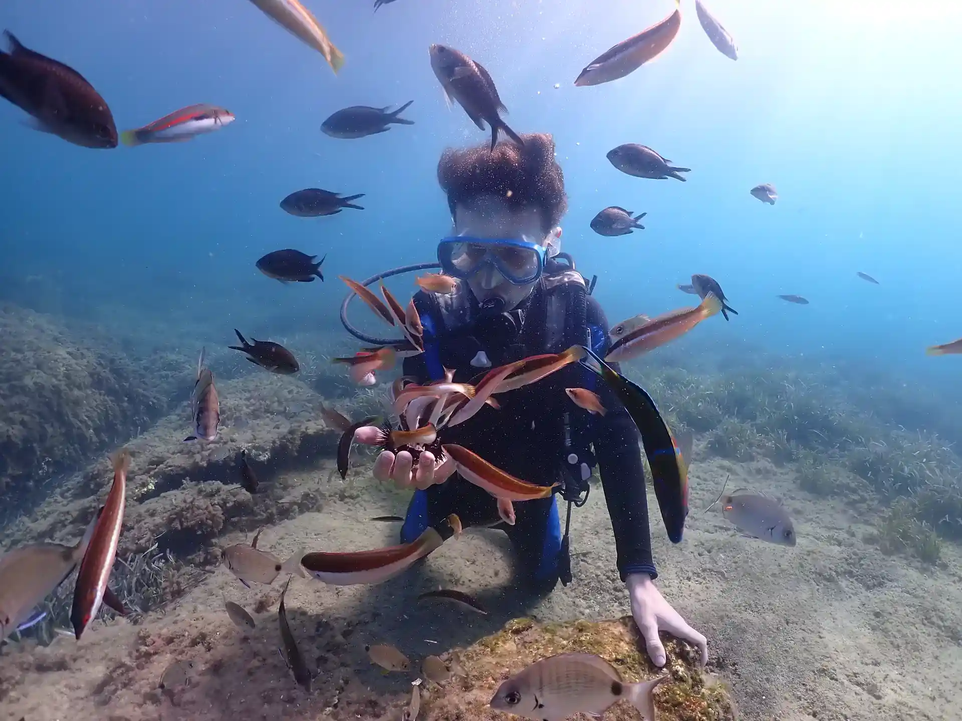 Dive shop photo