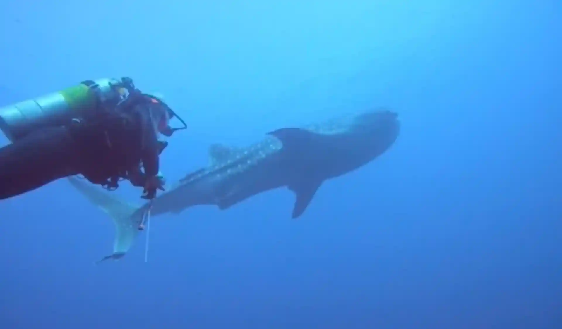 Foto van de duiklocatie