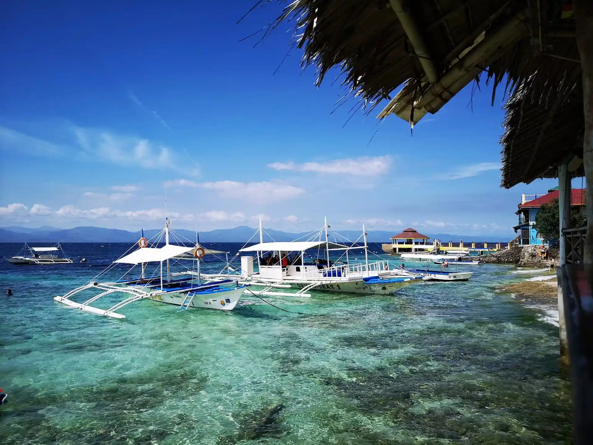 Dive shop photo