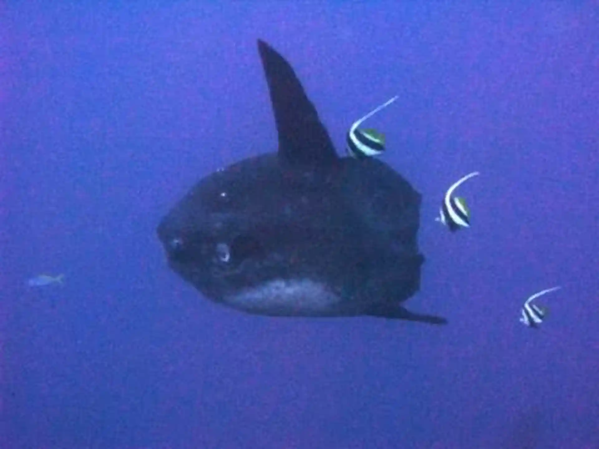 Foto de la actividad