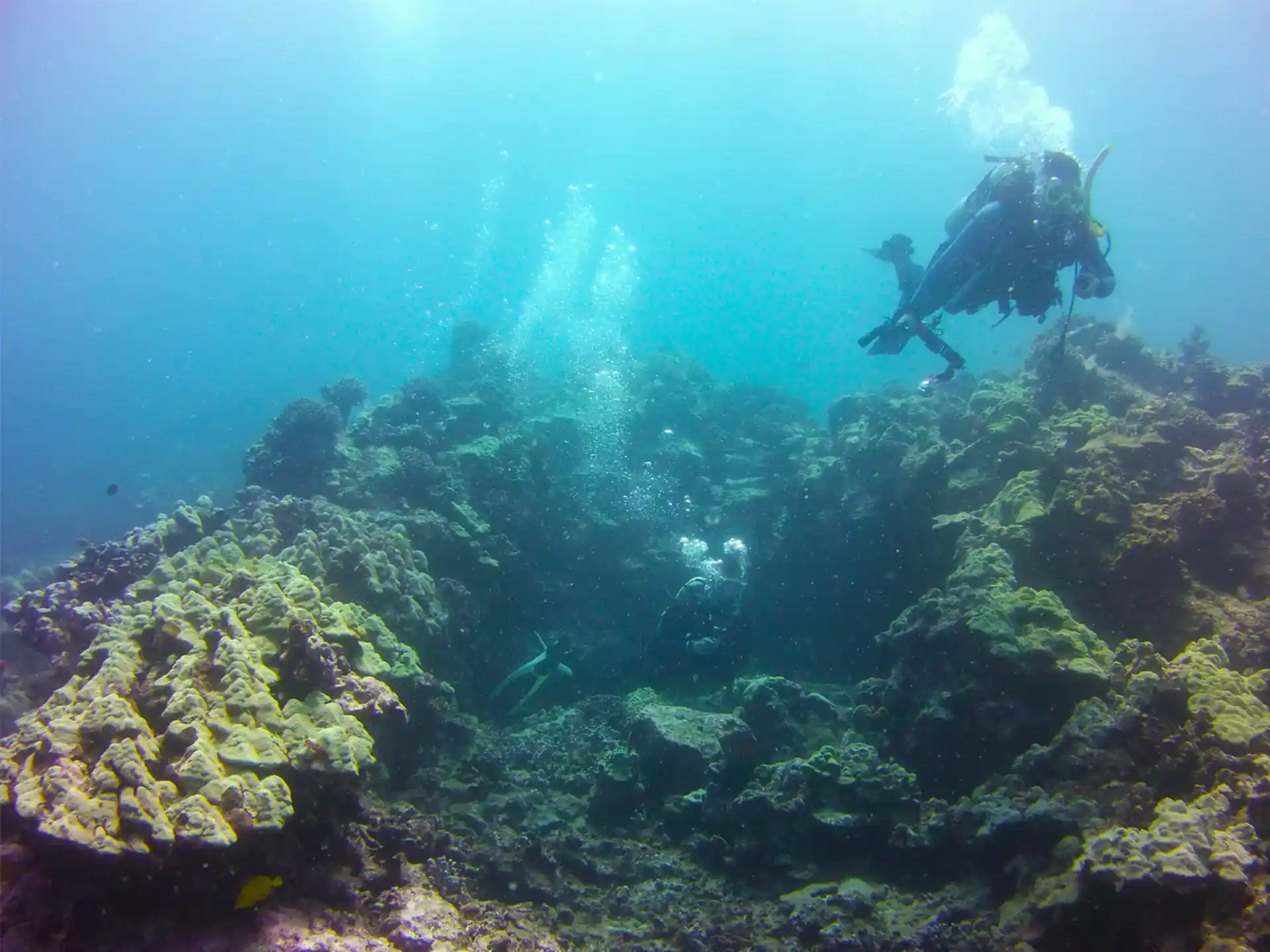 Dive site photo