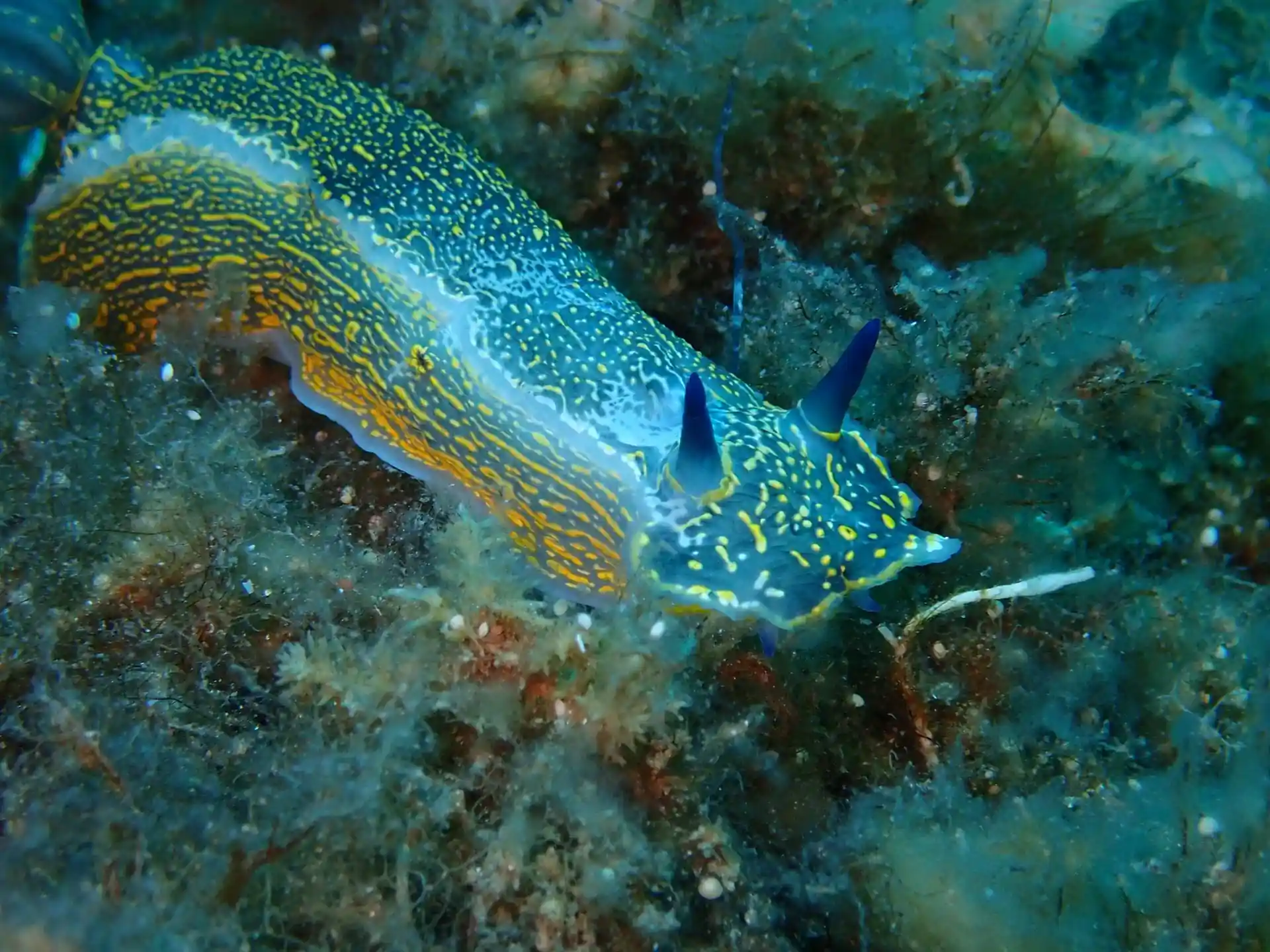 Dive site photo