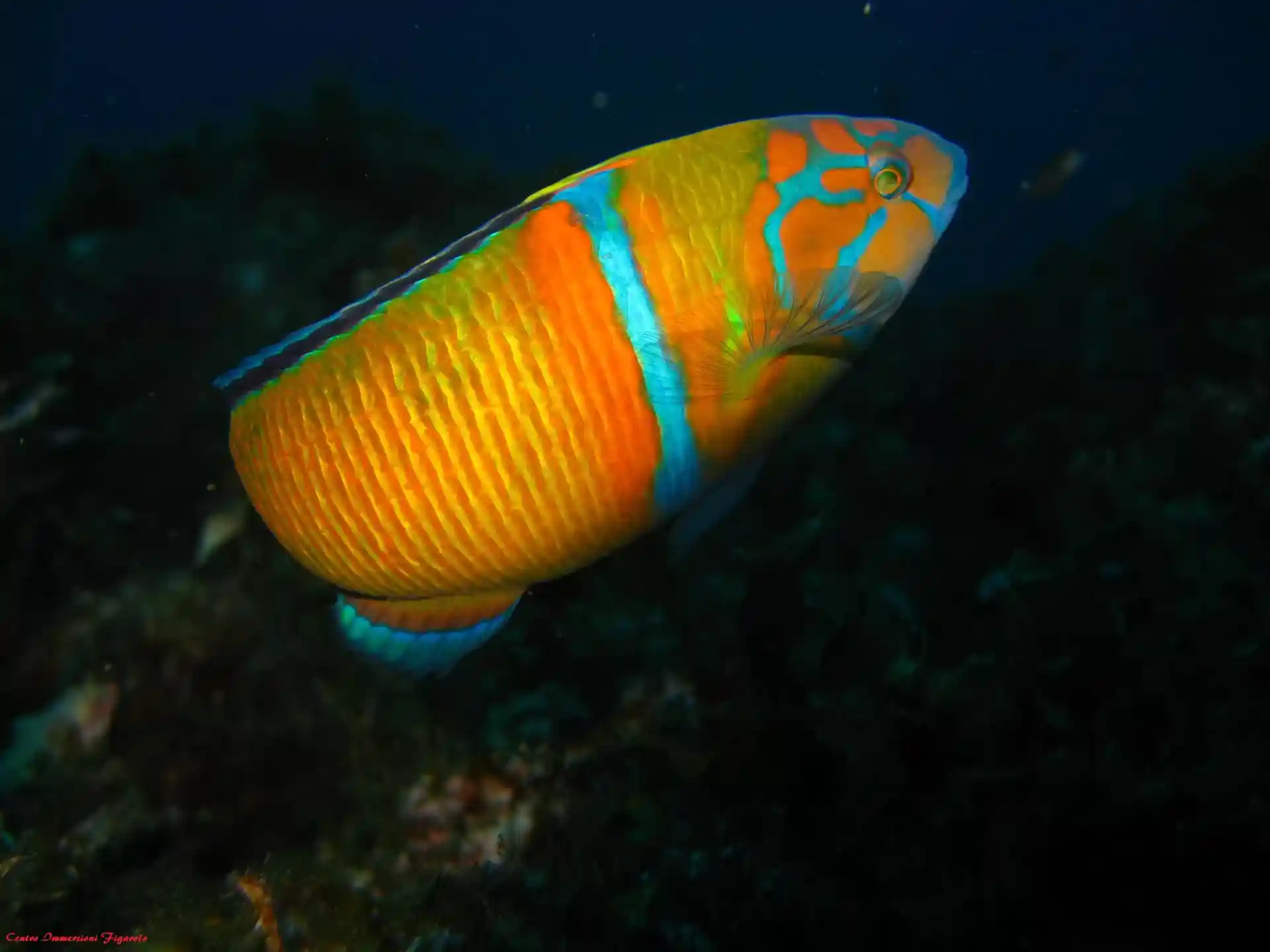Dive site photo