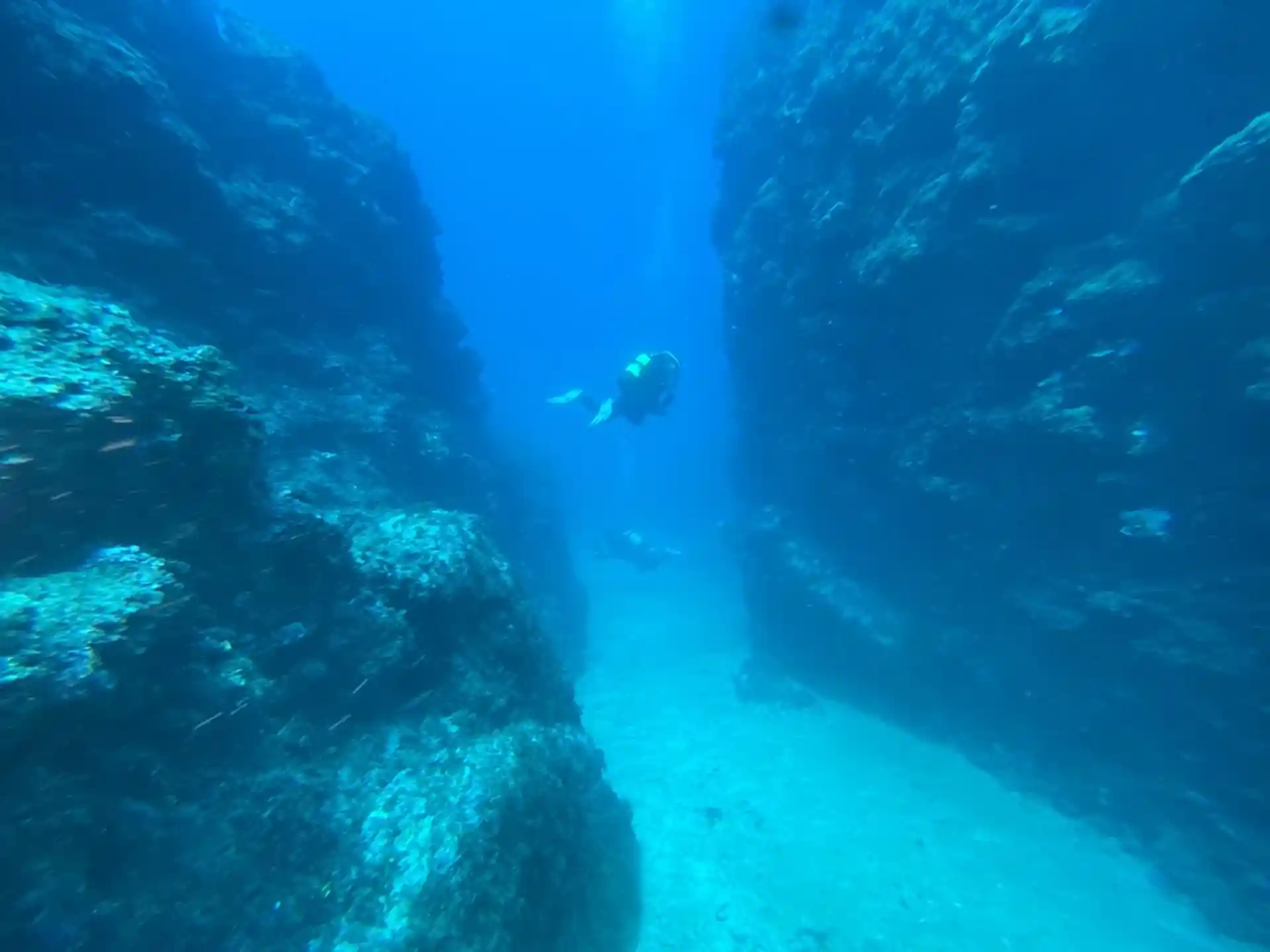 다이빙 포인트 사진