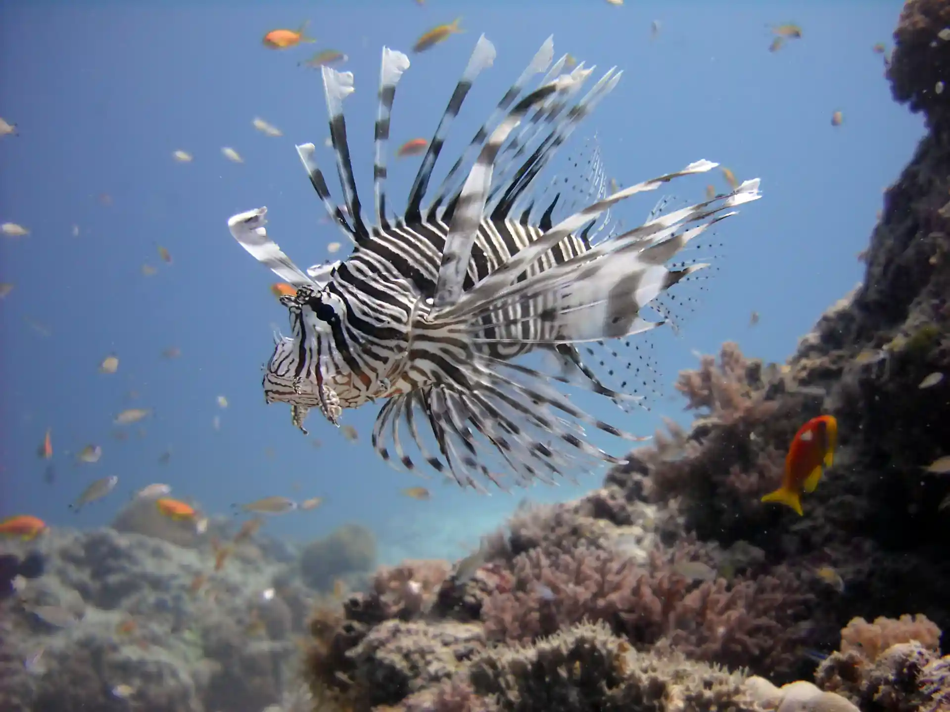 Photo de l'activité