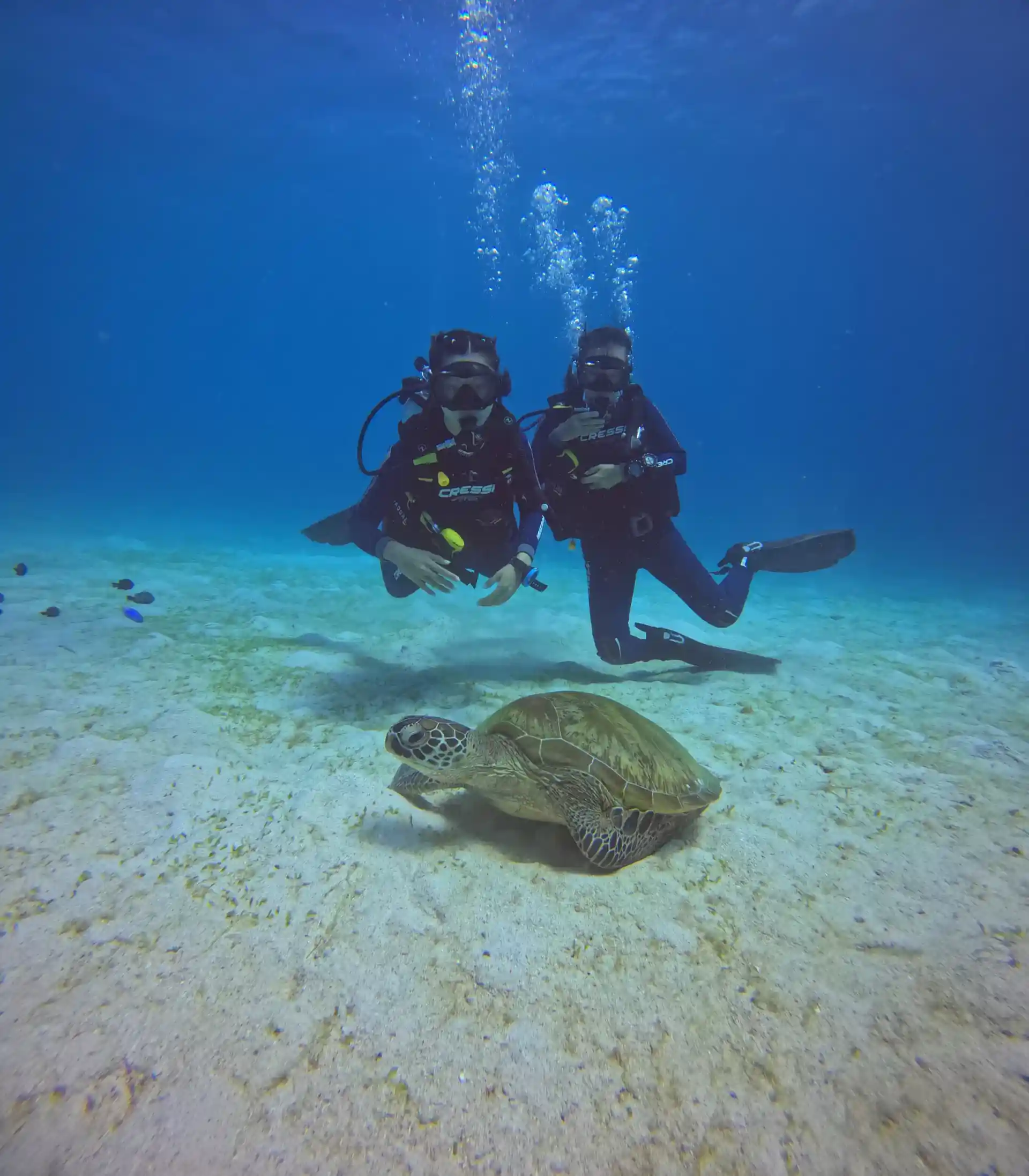 Dive shop photo