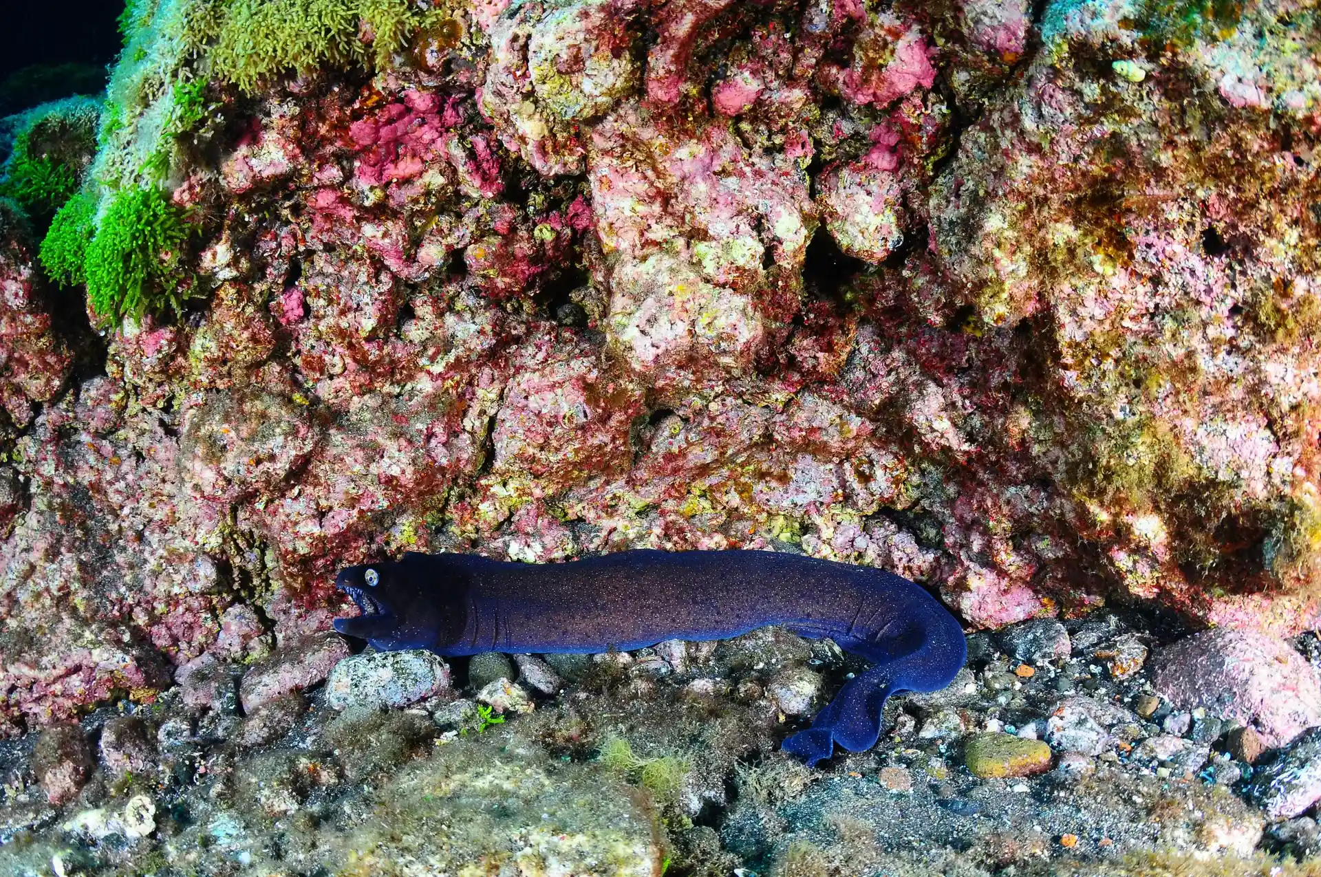 Dive site photo