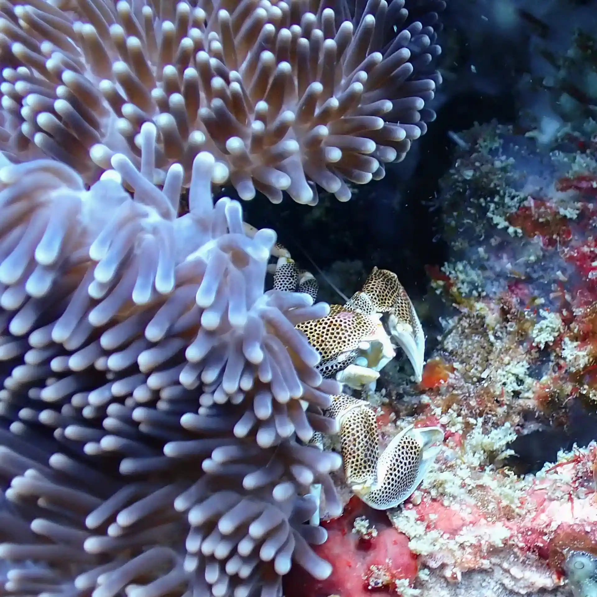 Dive shop photo
